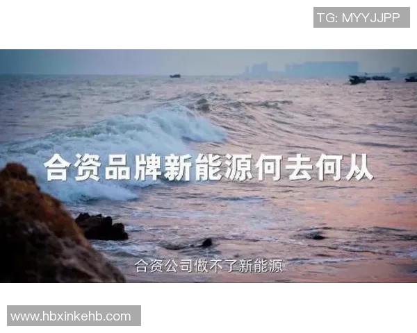 重庆攀岩队勇敢反击与创新之路探索全新发展模式