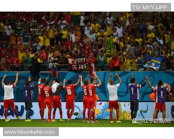 2008年足球盛事回顾：从欧洲杯到奥运会的激情与荣耀