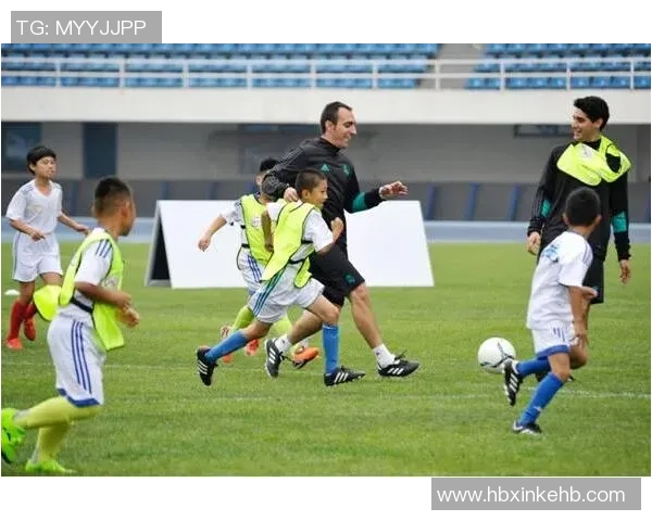 绿色球场上的环保足球运动助力可持续发展与生态保护