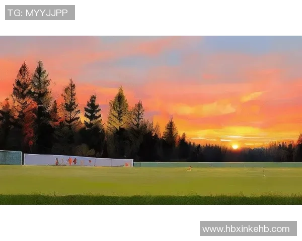 足球枕头带给你舒适睡眠体验，助你在梦中畅享绿茵场的激情与快乐