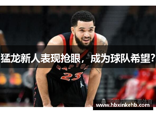 猛龙新人表现抢眼，成为球队希望？