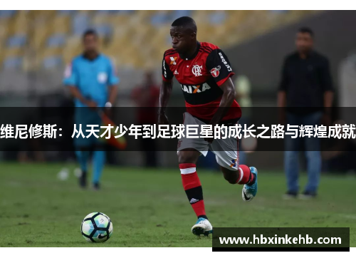 维尼修斯：从天才少年到足球巨星的成长之路与辉煌成就